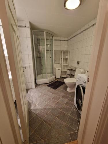 łazienka z toaletą i pralką w obiekcie Det Gamle Meieriet w mieście Vidnes