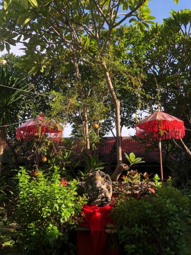 Сад в Pondok Shindu Guest House