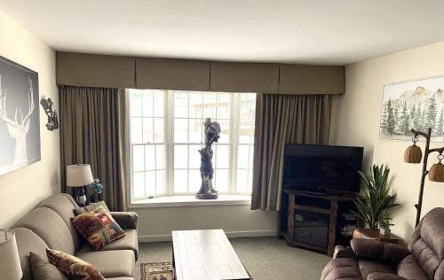 Μια τηλεόραση ή/και κέντρο ψυχαγωγίας στο Mountain View Suite Sleeps 4 Ski OnOff Jiminy Peak