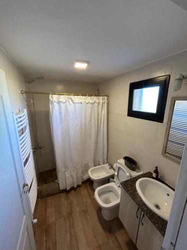 a bathroom with a sink and a toilet and a sink at Patagonia in Trevelín