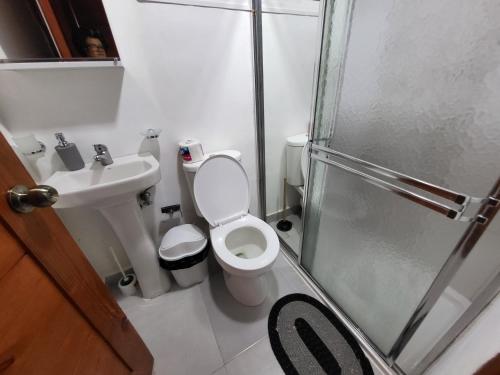 uma casa de banho com um WC, um lavatório e um chuveiro em Hermoso y comodo apartamento em Santiago de los Caballeros