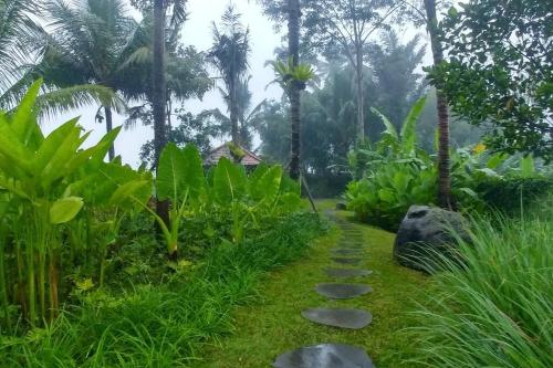 Κήπος έξω από το Villa Bukit Temawang Near Sidemen and Mount Agung