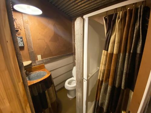 a bathroom with a toilet and a shower curtain at Acorn Hideaways Canton Cozy Frontier Suite 1890s Cattle & Land Decor in Canton