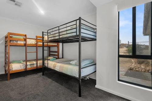 2 łóżka piętrowe w pokoju z oknem w obiekcie River Life w mieście Wellington East