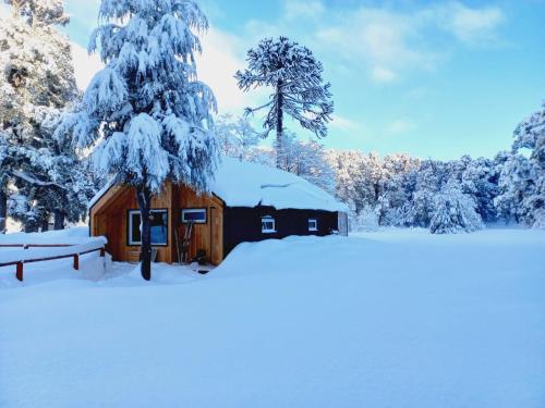 a cabin in the snow with snow covered trees at Cabaña Martin Pescador, Lodge Nevados de Sollipulli in Melipeuco