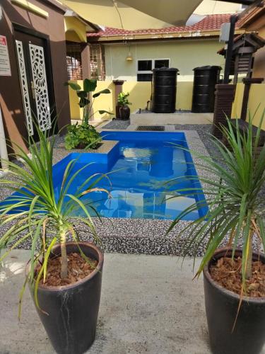 une piscine avec deux plantes en pot devant une maison dans l'établissement Homestay Rumah Cikgu 3bilik tidur, à Jitra