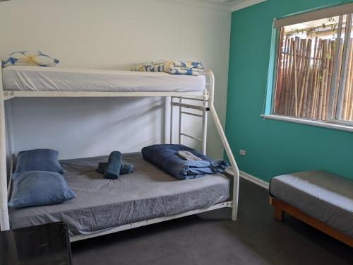 Кровать или кровати в номере Ozzie Pozzie Backpackers