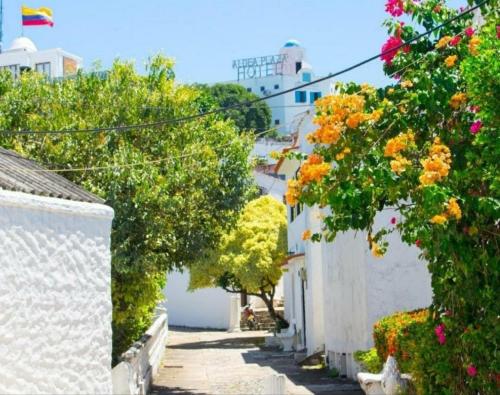 a street in a town with trees and flowers at El santorini colombiano cabaña in Puerto Triunfo