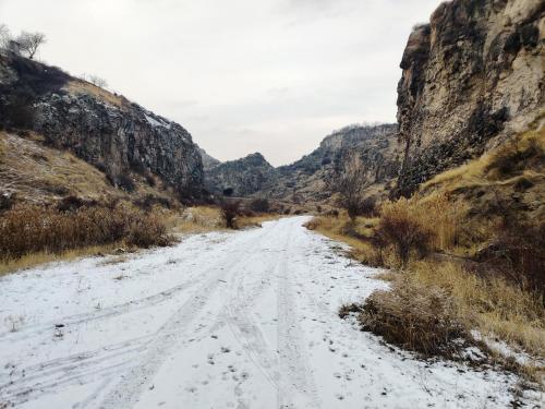  Zove Rural Cottage with garden views -  Room  picture :   Shower    Hairdryer    Iron                           