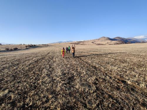  Zove Rural Cottage with garden views -  Room  picture :   Shower    Hairdryer    Iron                           