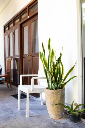 a white chair and a potted plant in a room at Shan Star Weligama in Weligama