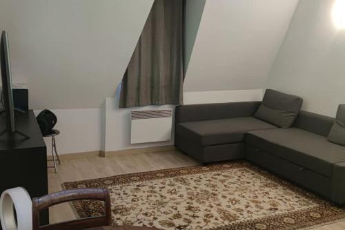 un salon avec un canapé et un tapis dans l'établissement Cosy Studio Paris Ternes Near Palais de Congrès, à Paris