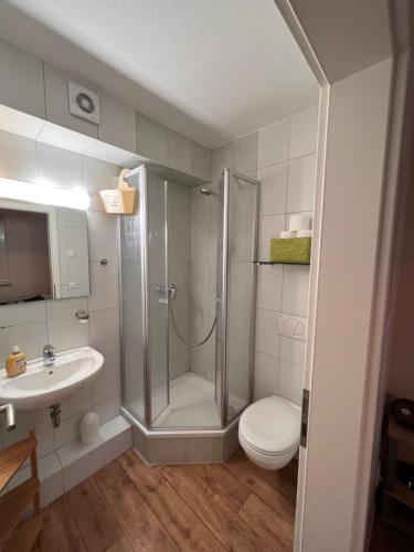 a bathroom with a shower and a toilet and a sink at Seebär in Gelbensande