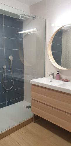une salle de bain avec un lavabo et une douche avec un miroir dans l'établissement 3P PARC DE DIANE PISCINE, à Antibes