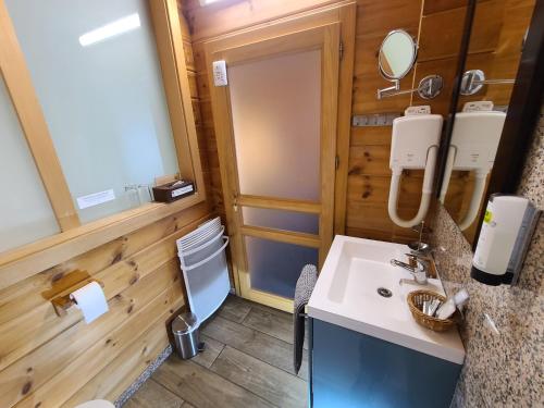 een badkamer met een wastafel en een spiegel bij L'Etable Gourmande in Plaine-de-Walsch