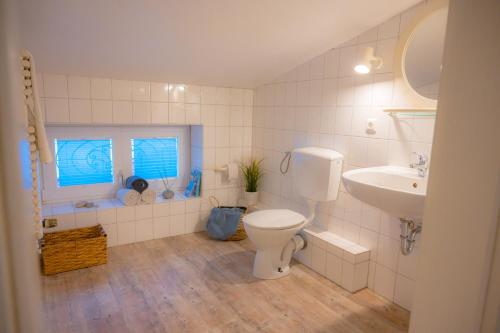 a bathroom with a toilet and a sink at Himmelsbesen in Westermarkelsdorf