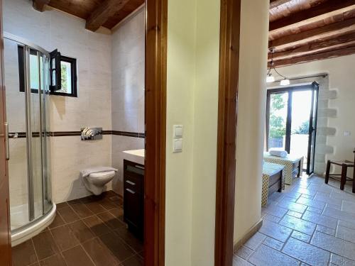 a bathroom with a toilet and a glass shower at Villa Afrati Sea Views Pool AC in Plaka