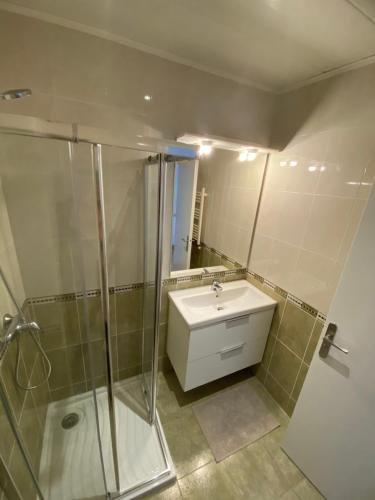 une salle de bain avec un lavabo et une douche dans l'établissement Appartement en centre ville, à Hendaye