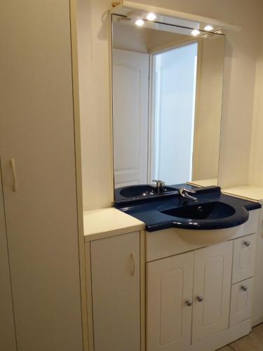 une salle de bain avec un lavabo et un miroir dans l'établissement Sant Ambroggio, à Lumio