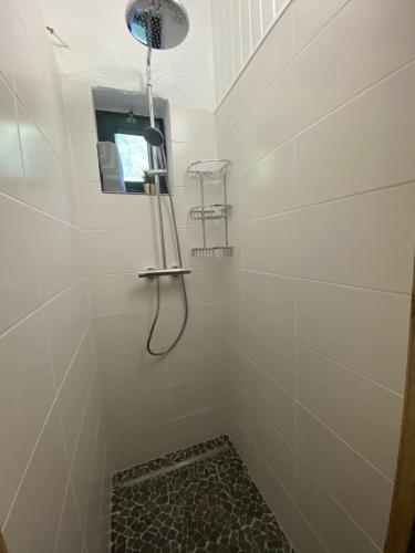 een badkamer met een douche met een douchekop bij Repère du Cerf in Virton