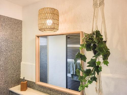 einen Spiegel im Bad mit Topfpflanze in der Unterkunft BetterBeds Brandenburg in Brandenburg an der Havel