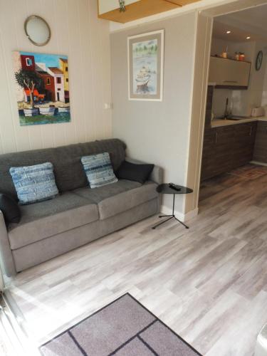 - un salon avec un canapé et du parquet dans l'établissement ABBAYE DU CAP Très joli T2 moderne proche port ABBAYE DU CAP Cap d'Agde, au Cap d'Agde
