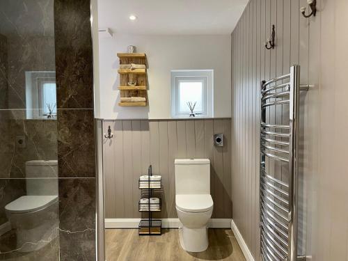 a bathroom with a toilet and a shower and a sink at The Cabin@TyddynUcha in Caernarfon