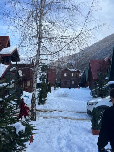 a yard covered in snow with trees and houses at Vikendica Rajsko selo in Kolašin