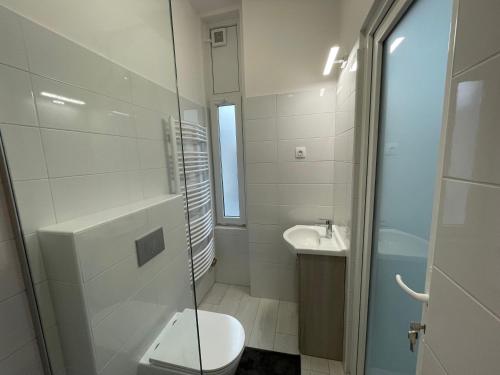a bathroom with a shower and a toilet and a sink at Fullmoon Luxury Apartment in Szeged