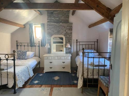 a bedroom with two beds and a mirror at Cosy Country Cottage; Brecon Beacons in Crickhowell