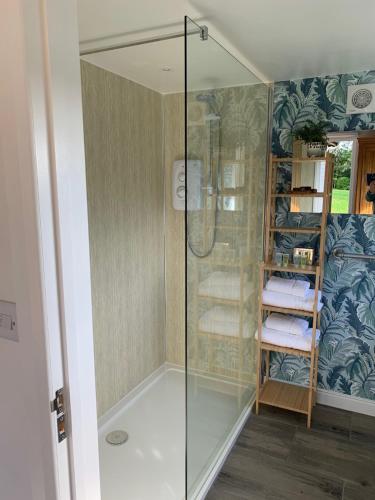 a shower with a glass door in a bathroom at The Snuggery Broadclyst in Exeter