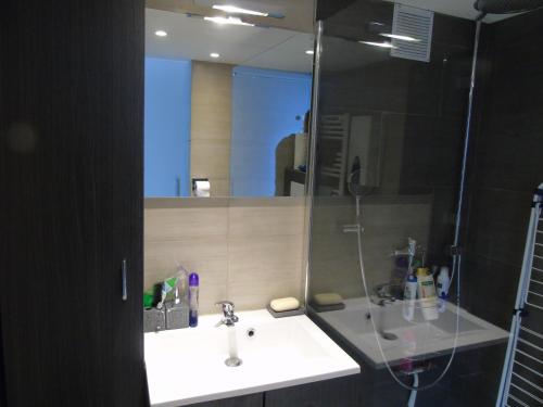 Studio Han Sur Lesse في هان-سور-ليس: حمام مع حوض ومرآة