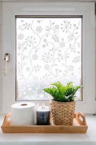 a bathroom window with a toilet paper and a plant at Glengate - Traditional home in Kirriemuir in Kirriemuir