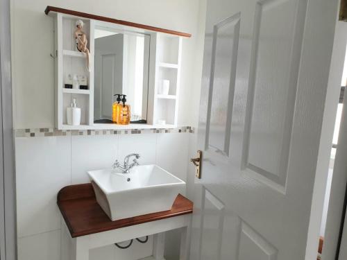 bagno con lavandino bianco e specchio di Breede River Lodge a Witsand
