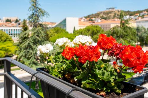 a pot of red and white flowers on a balcony at Luxury apartments Azalea Šibenik in Šibenik