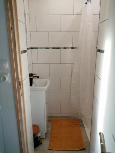 a small bathroom with a sink and a shower at Gîte Quarter h o r s e 55 in Vadelaincourt