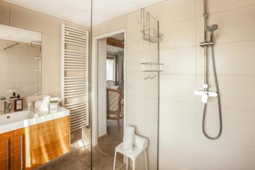 a bathroom with a shower and a sink at Le Clos Du Buis in Bonnieux