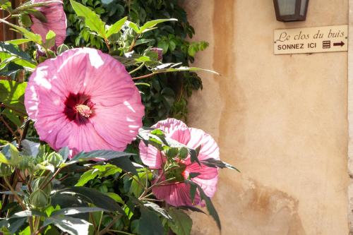 a bunch of pink flowers next to a building at Le Clos Du Buis in Bonnieux