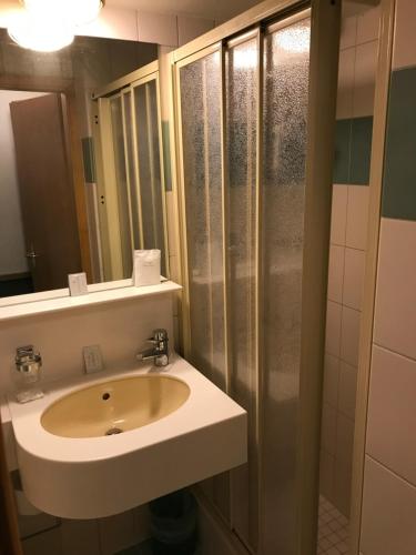 a bathroom with a sink and a shower at Hotel Arlette Beim Hauptbahnhof in Zürich