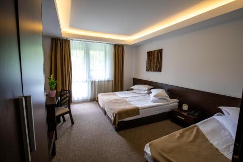a hotel room with two beds and a window at Hotel Smart in Sinaia