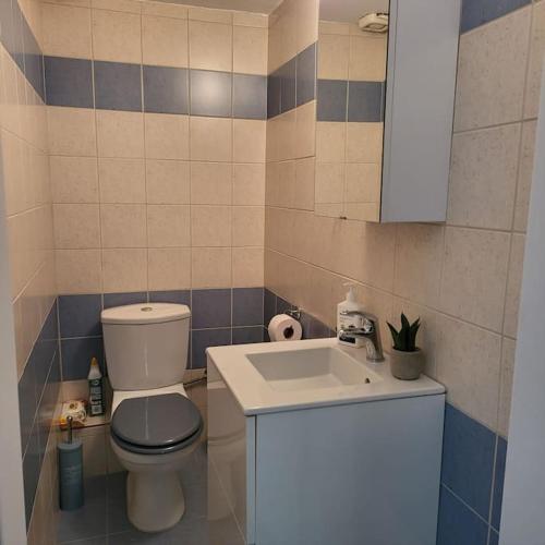 a small bathroom with a toilet and a sink at BEAUTIFUL APARTMENT IN VERIA in Veria