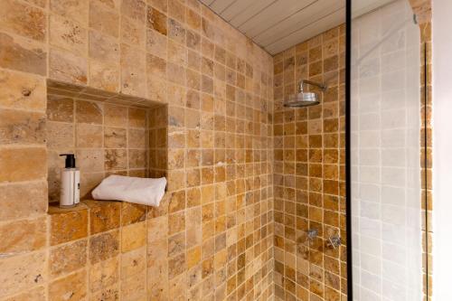 y baño con ducha de azulejos marrones. en Alcazar Pool Villa by Valcambre, en Sevilla