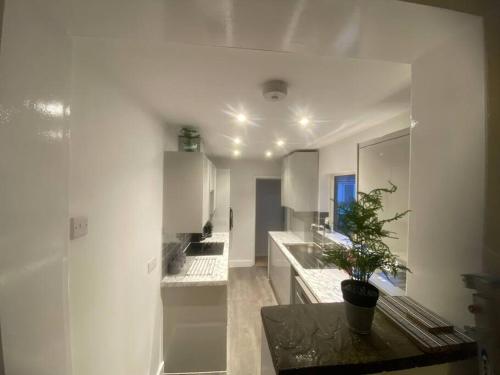 a white kitchen with a potted plant on a table at Splendid Stays by Citybricks in Kent