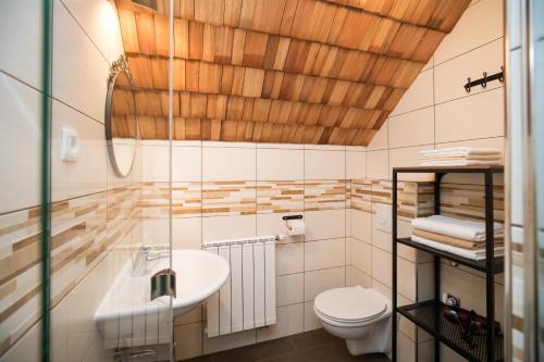 een badkamer met een wastafel en een toilet bij Apartma Hkavc Markež in Bohinj