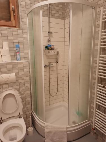 ビイェラシュニツァにあるThe Snow Crib Bjelasnica Aptのシャワーとトイレ付きのバスルーム
