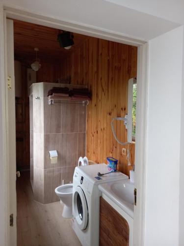 uma casa de banho com uma máquina de lavar roupa e um WC em У бабусі em Bursuchna