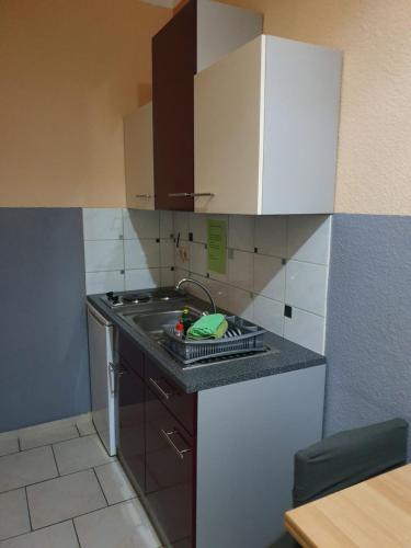 a small kitchen with a sink and a counter at Landpension Wendfeld in Sanitz