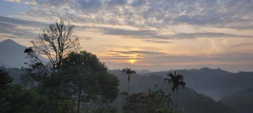 a sunset in the mountains with trees and clouds at 3R Residency The Backpackers Hub Munnar in Munnar