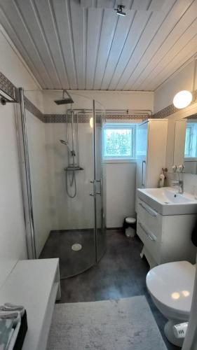 a bathroom with a shower and a toilet and a sink at Guestrooms at Forest Family Home in Ytterhogdal