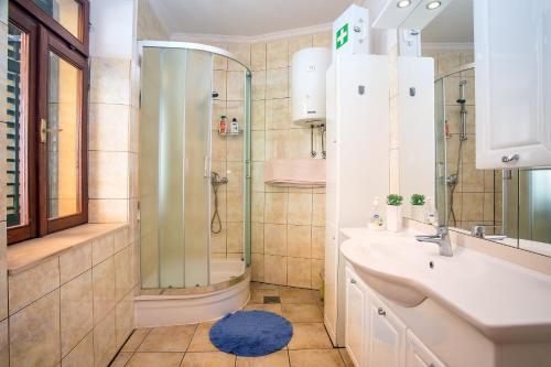 a bathroom with a shower and a sink and a mirror at Villa Dahlia in Jesenice